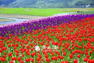 國(guó)家隊(duì)點(diǎn)名 余杭這個(gè)地方最新規(guī)劃來了