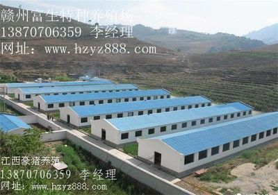 貴州豪豬種苗 陜西豪豬種苗 云南豪豬種苗_農(nóng)副產(chǎn)品_世界工廠(chǎng)網(wǎng)