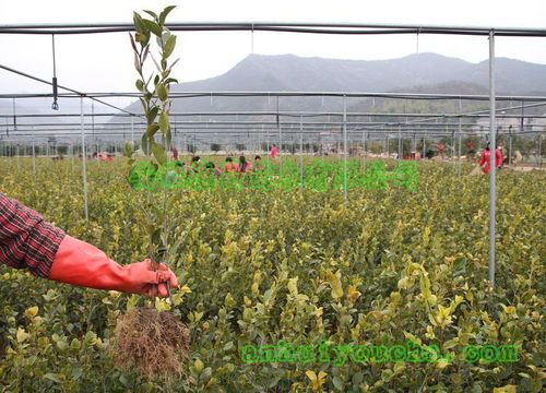 價格 廠家 中國供應商