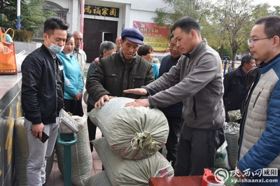 小連翹撬動大產(chǎn)業(yè) 中藥材種植助力脫貧攻堅——陜西中醫(yī)藥大學(xué)制藥廠赴旬邑收購連翹記