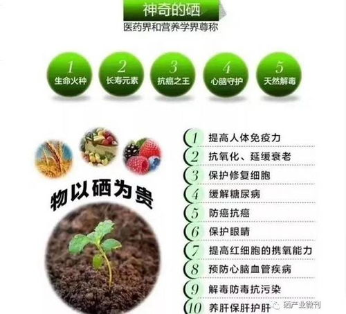 九溪九香 以富硒技術引領特色農業發展，推動現代農業高質量轉型