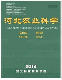 新科技農(nóng)業(yè)技術(shù)對作物產(chǎn)量的影響研究——以某地區(qū)為例