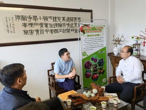招商征途與農(nóng)業(yè)創(chuàng)新 位副縣長、鄉(xiāng)黨委書記周偉的城鄉(xiāng)發(fā)展蹲點(diǎn)筆記