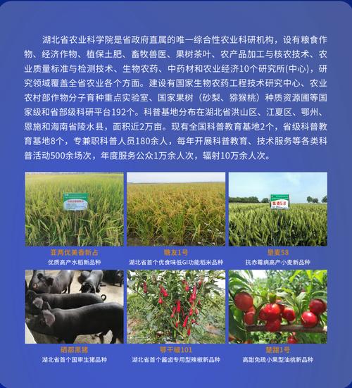 武漢量子技術(shù)研究院